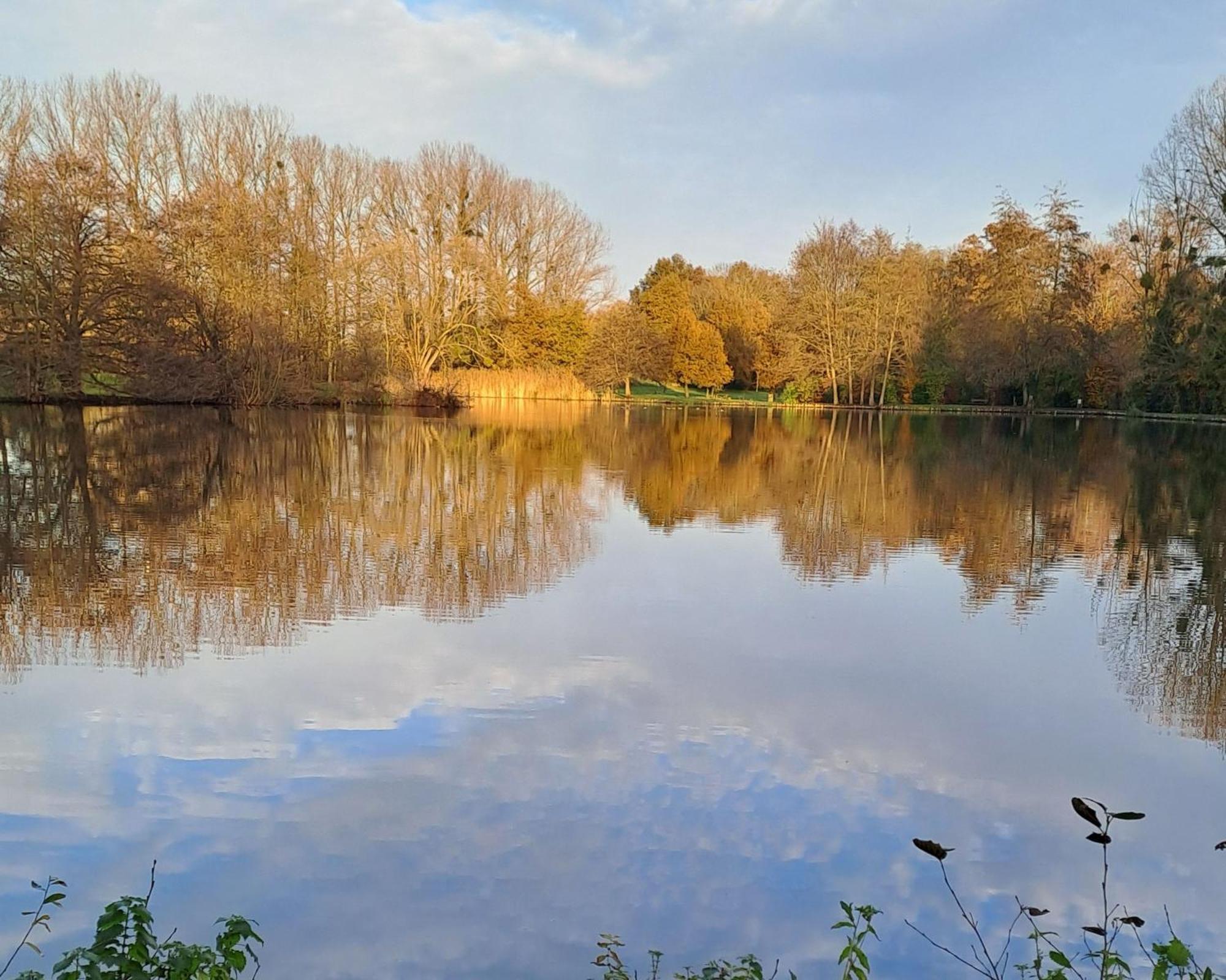 B&B La Lyre Saint-Georges-du-Bois  Esterno foto